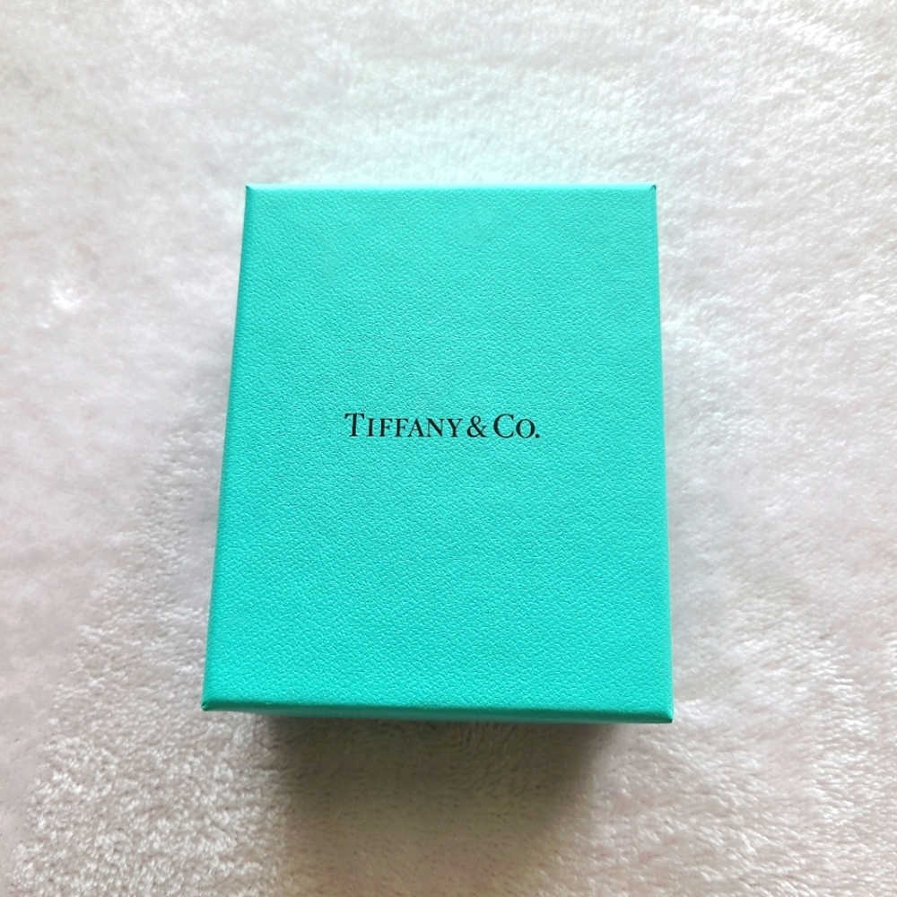 Jewlery gift box ONLY with cushioning, no jewlery